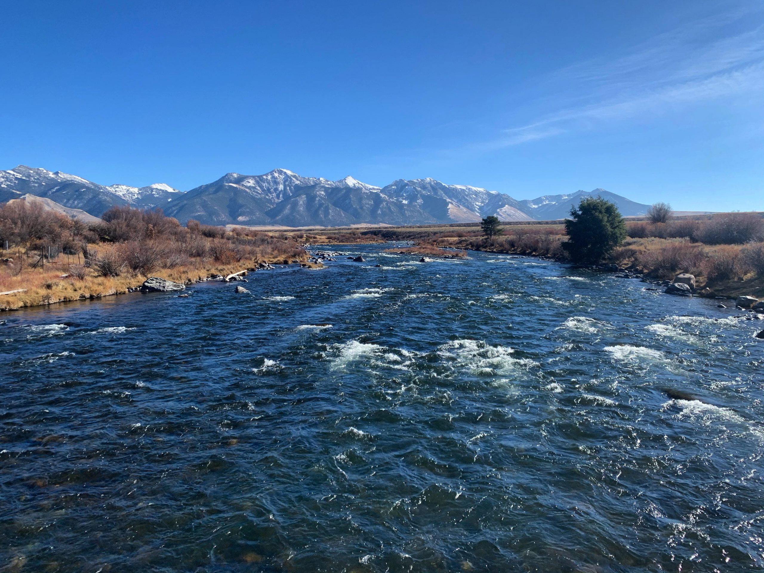 madison river fishing report 10-29-2020