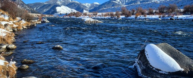 madison river fishing report 01-11-2021
