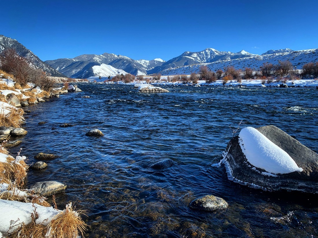 madison river fishing report 01-11-2021