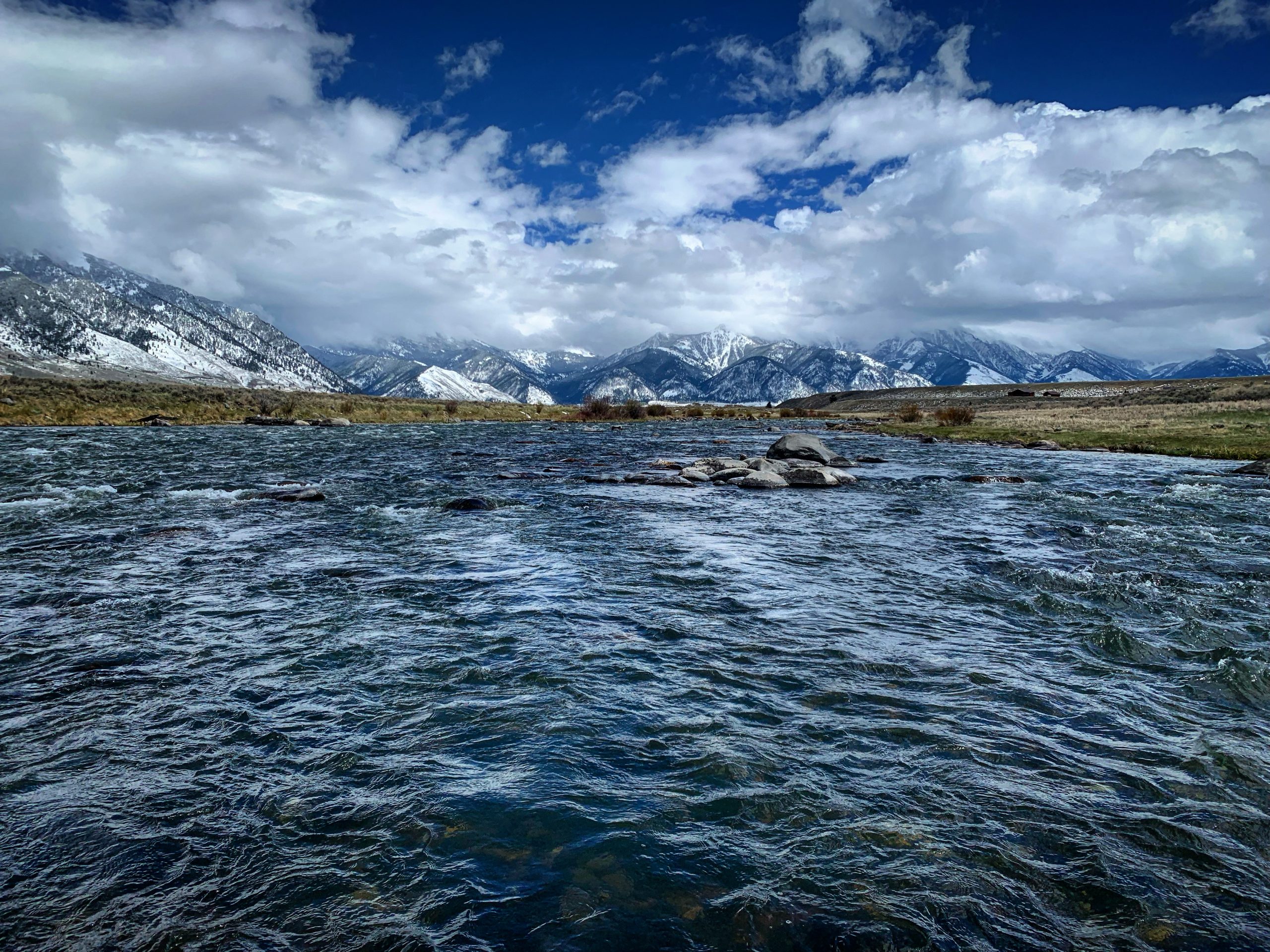 madison river fishing report 5-29-2021