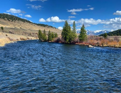 Madison River Fishing Report 09/16/2020 - Galloup's Slide Inn