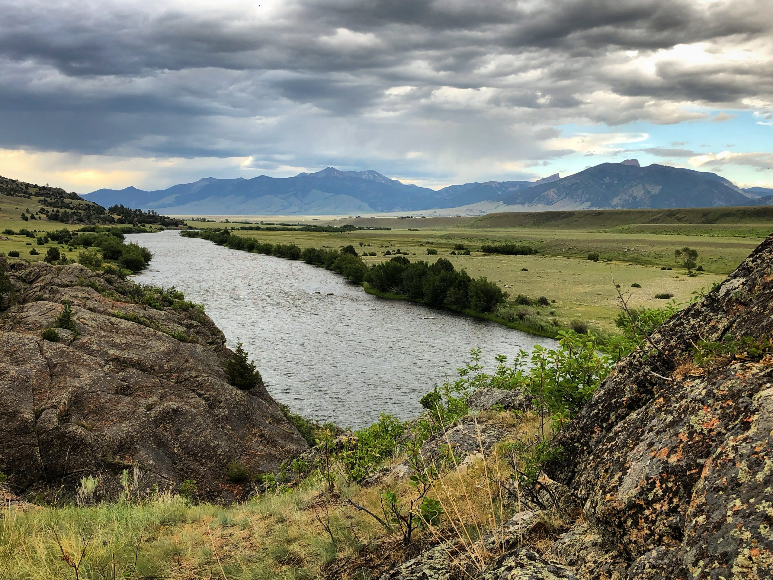 madison river fishing report 6-24-2021