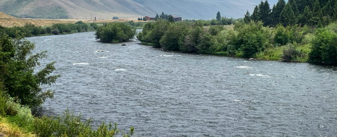 madison river fishing report 07-19-2021