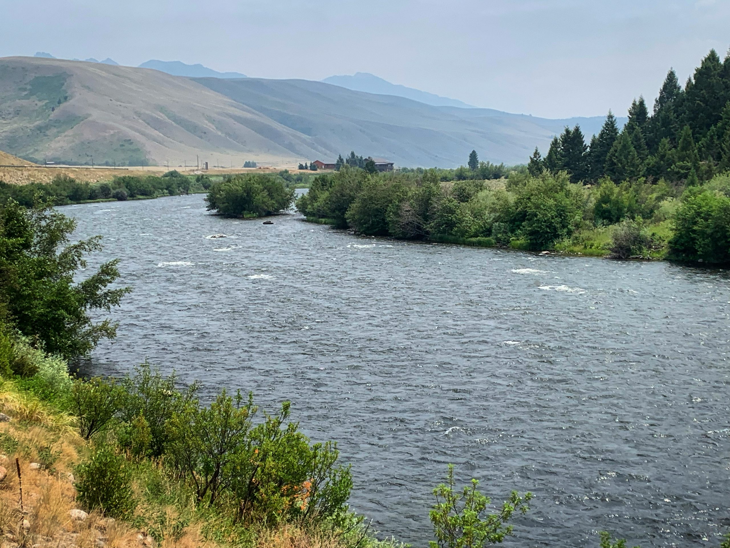 madison river fishing report 07-19-2021