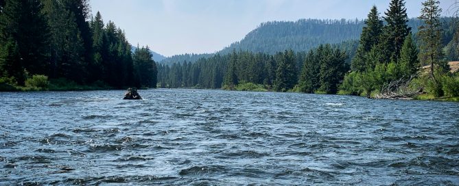 madison river fishing report 07-30-2021