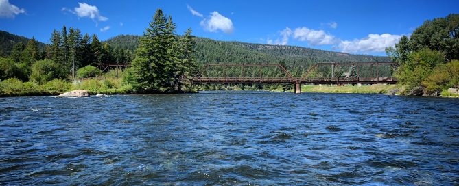 madison river fishing report 9-4-2021