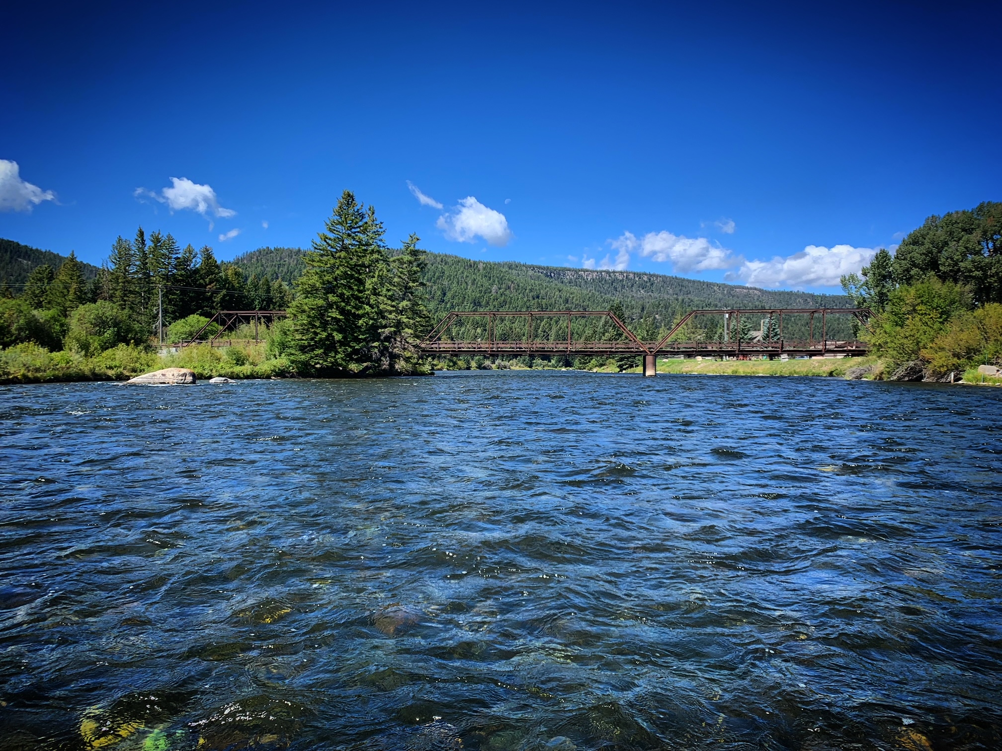 madison river fishing report 9-4-2021