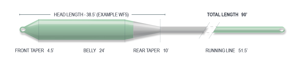 airflo streamer float line taper