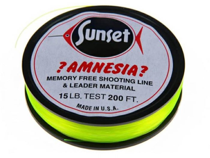 Amnesia Shooting Line
