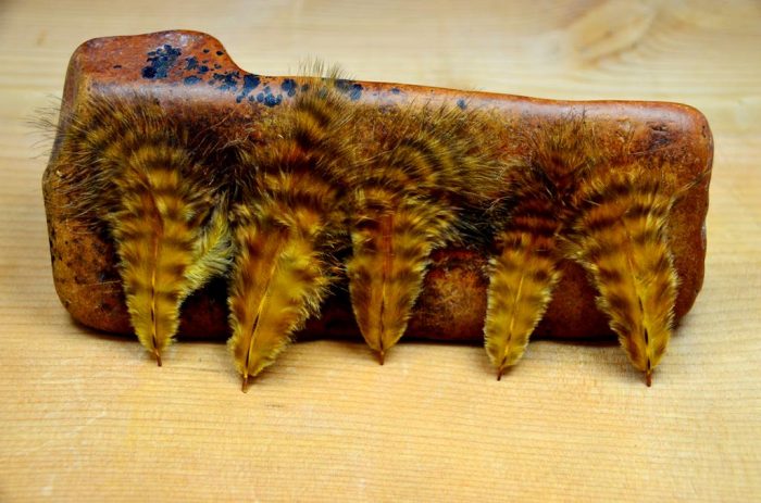 Grizzly Marabou - Image 5
