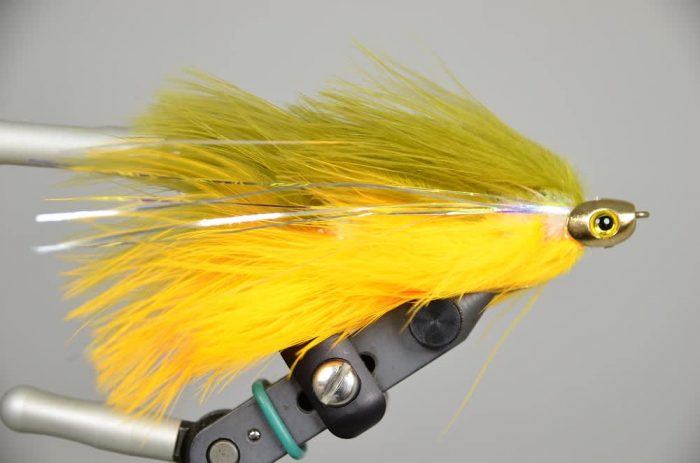 Galloup's Barely Legal Fish Skull - Image 2
