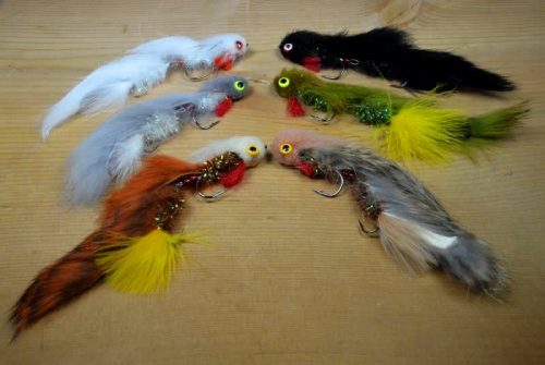 Cree feathers heritage fly tying rare hackle feather hair