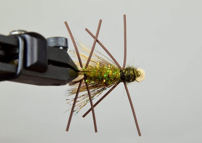Amy's Ant - Image 2