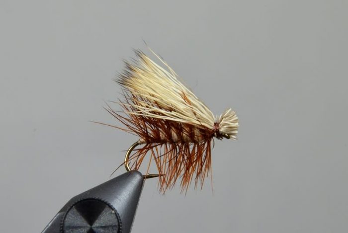 elk hair caddis