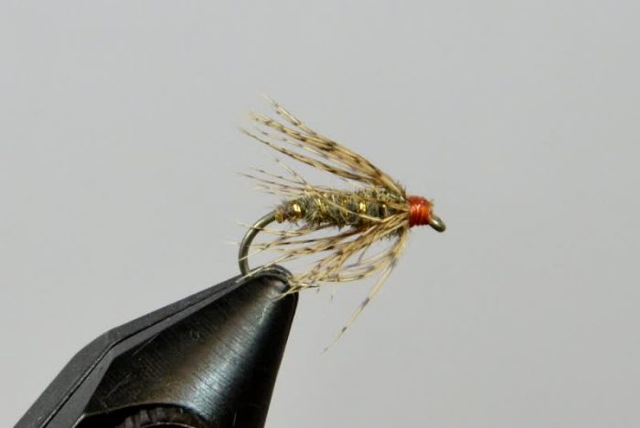 Soft Hackle