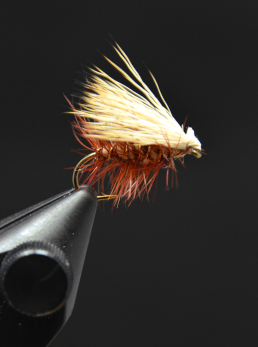 Caddis