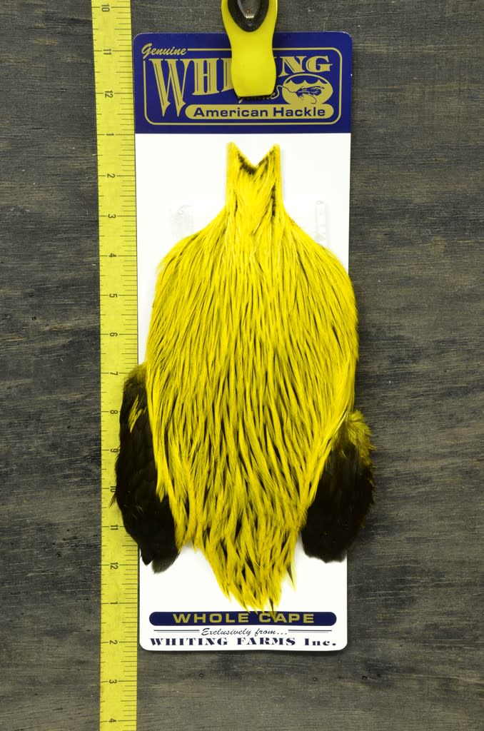 Whiting American Rooster Cape - Badger
