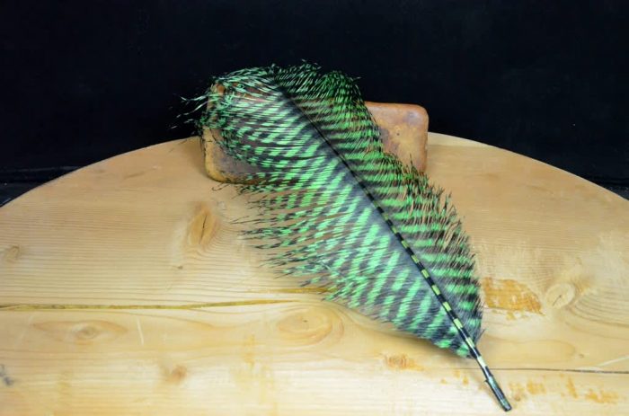 MFC Barred Ostrich Plume - Image 3