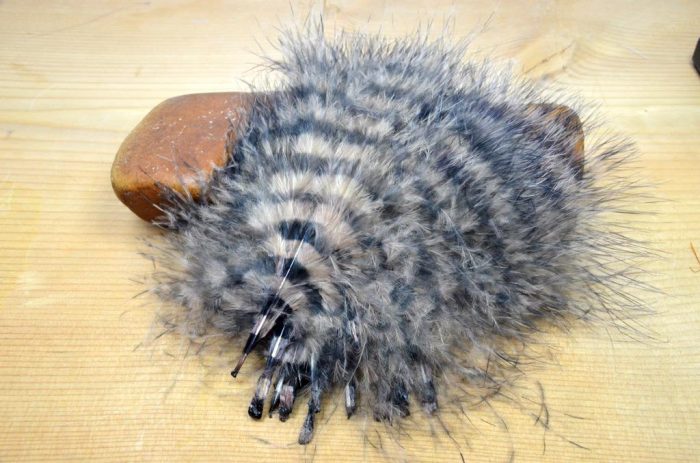 MFC Barred Marabou