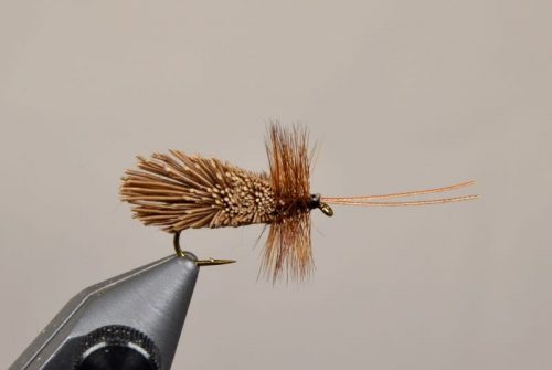 Goddard Caddis