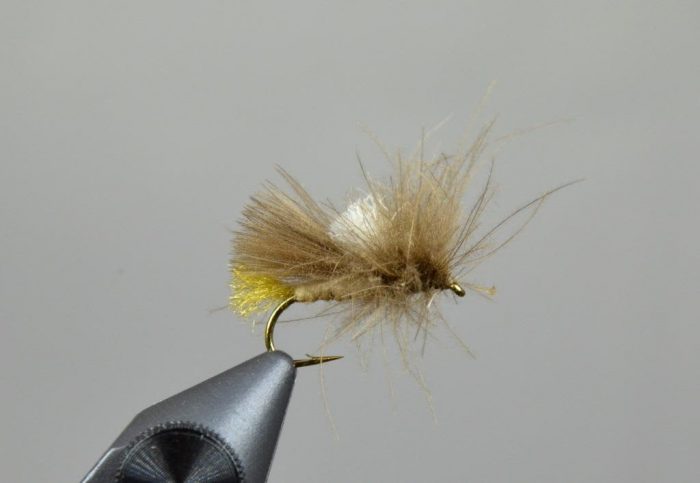 Egan's Corn Fed Caddis