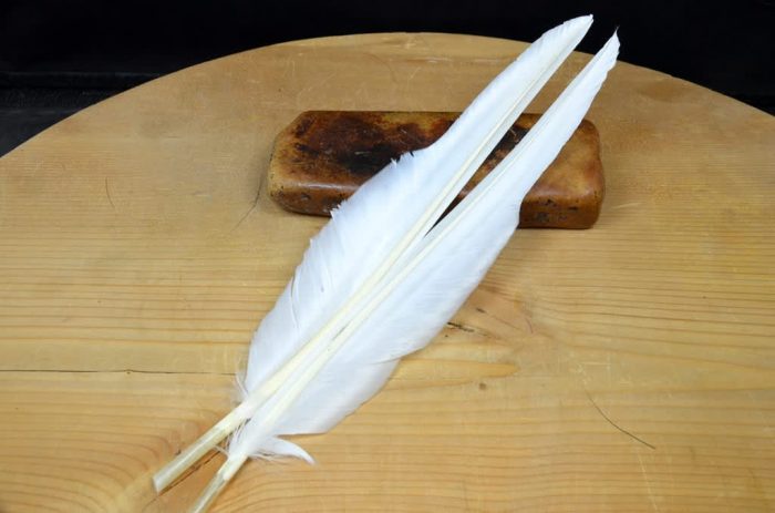 Goose Quills - Image 5
