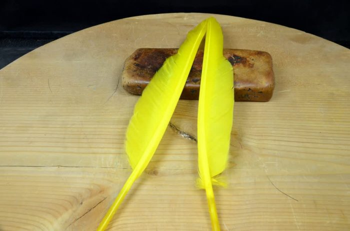 Goose Quills - Image 6