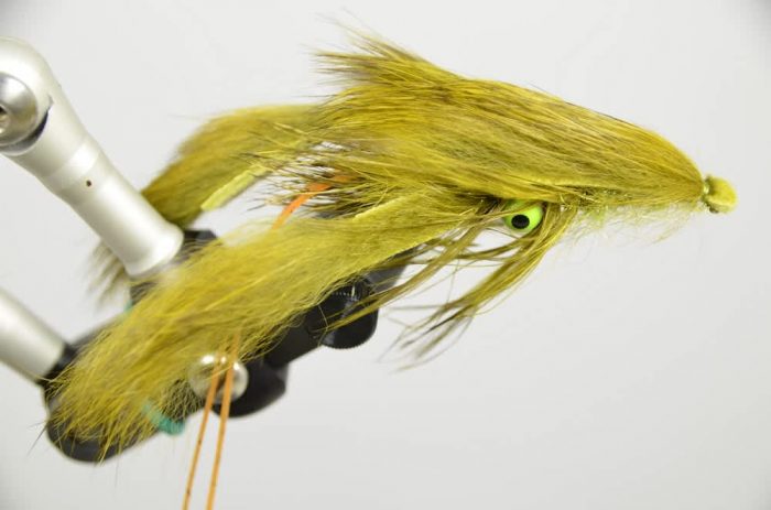 Galloup's Craw