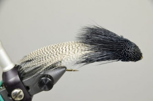 NEW & Back in Stock Flies