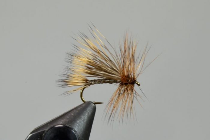 Galloup's North Branch Caddis