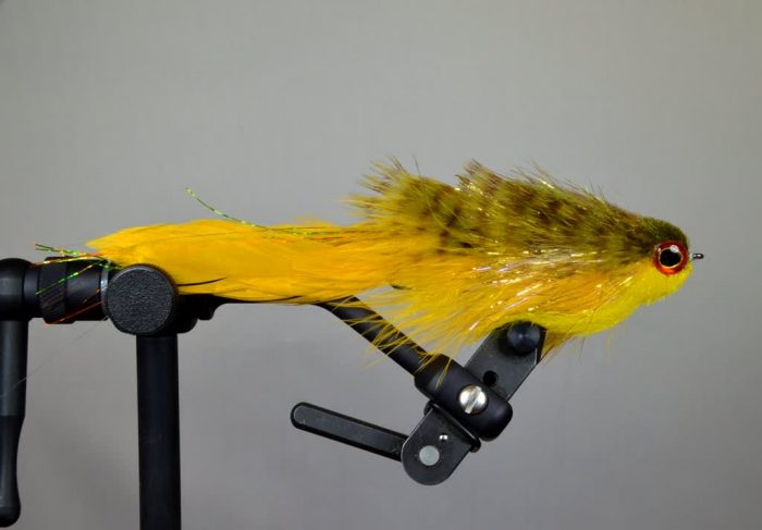 Galloup's Bangtail T&A - Image 2