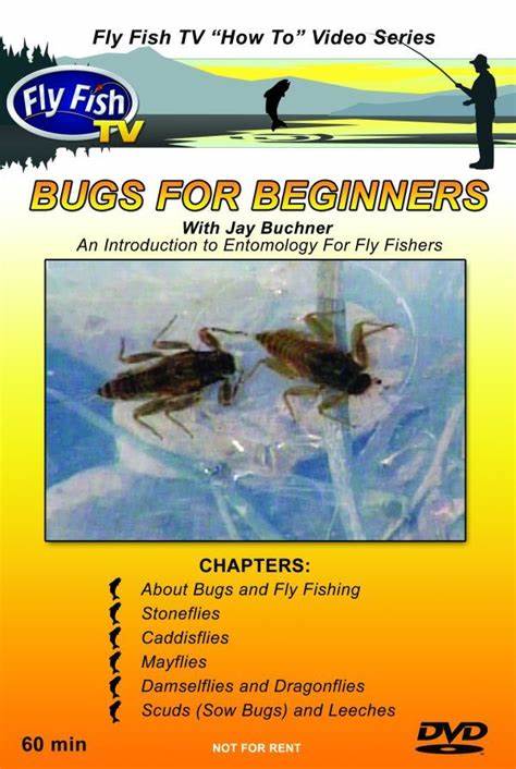 Bugs For Beginners DVD