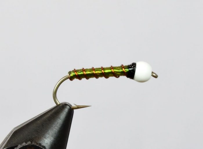 Ice Cream Cone Chironomid