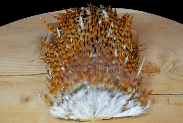 Nature’s Spirit Indian Rooster Saddle Patch - Image 3