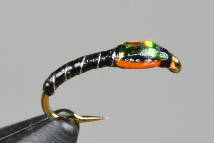Black and Silver Chironomid