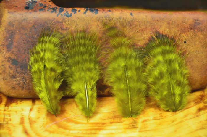 Grizzly Marabou - Image 8