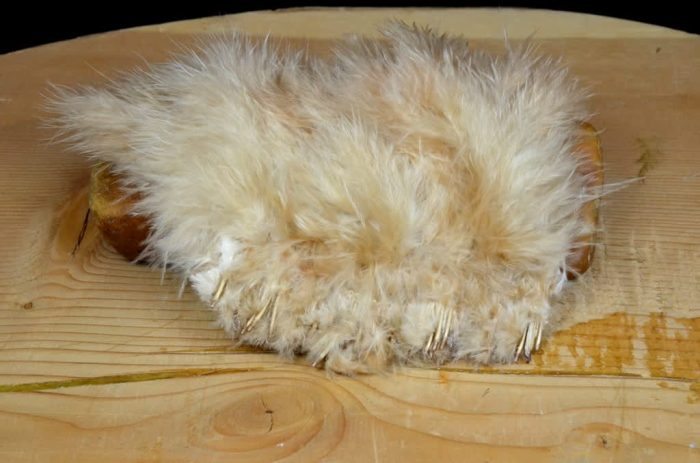 Wooly Bugger Marabou - Image 9