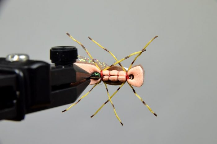 Dornan's Micro Egg Sacker - Image 2