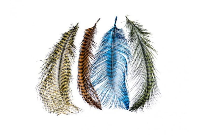 Barred Ostrich Plumes - Royal Treatment Fly Fishing