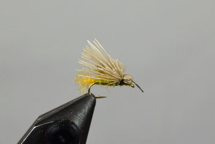 Galloup's Butch Caddis