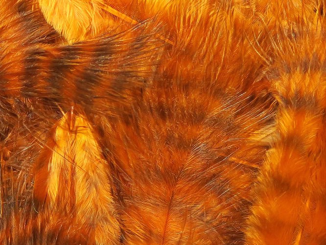 grizzly marabou feathers for fly tying streamers burnt orange rust