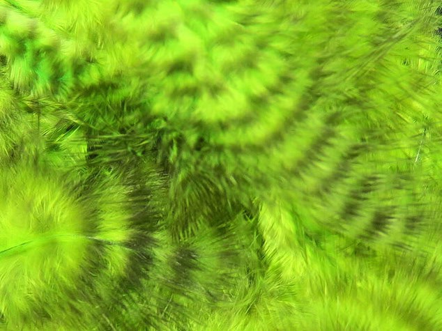 grizzly marabou feathers for fly tying streamers chartreuse green