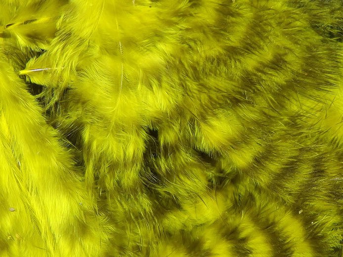 grizzly marabou feathers for fly tying streamers yellow