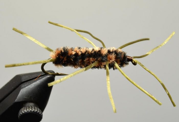 Brown and black Pat's Rubber Legs fly pattern with gold legs held in a vise for fly tying.