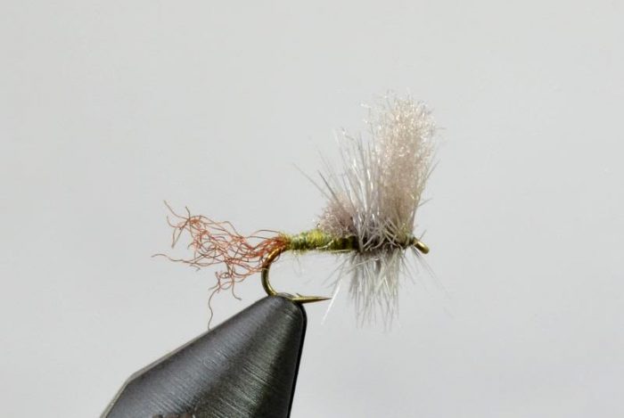 Nyman's DOA Cripple - BWO