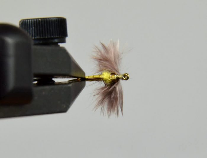 Bat Wing Emerger PMD