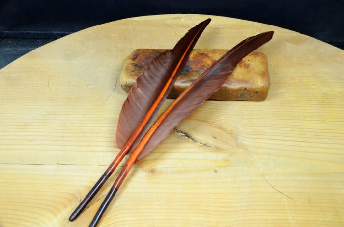 Goose Quills - Image 2
