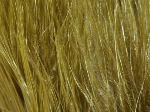 hareline blood quill marabou feathers for fly tying olivebrown olive brown