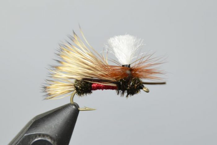 Swisher's Royal PMX - Image 2