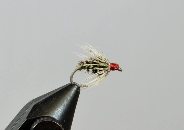 Soft Hackle